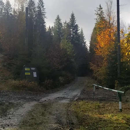 Villa Gorska W Parku Krajobrazowym Brenna